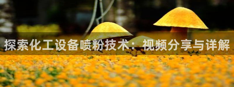 美狮贵宾会输了100万