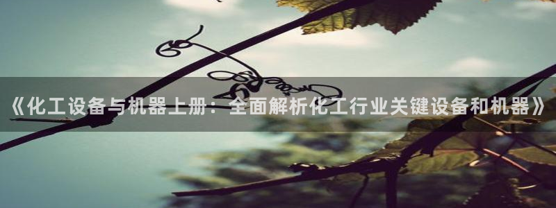美狮会员卡等级怎么看的