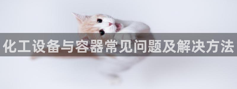 美狮外汇合法吗