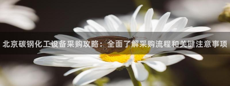 美狮会是正规平台吗是真的吗