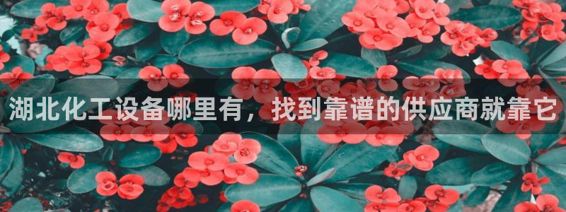 092000777美狮贵宾会