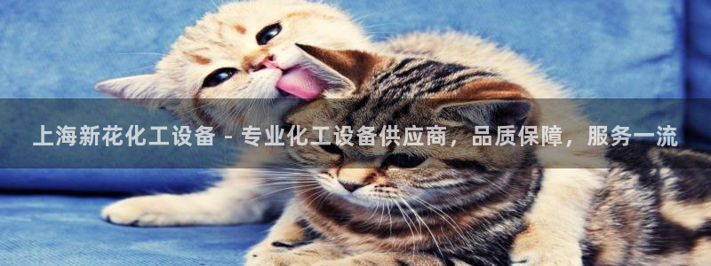 美狮外汇最新消息