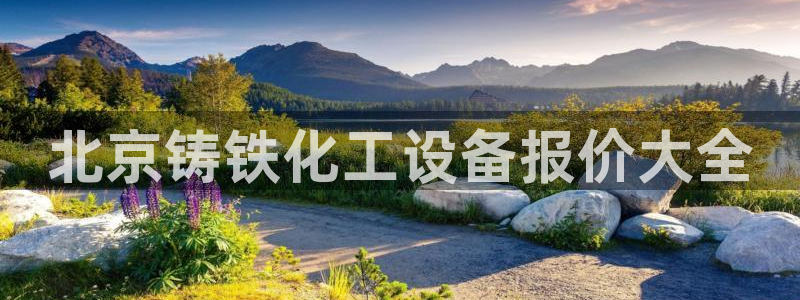 美狮集团董事长兼总经理