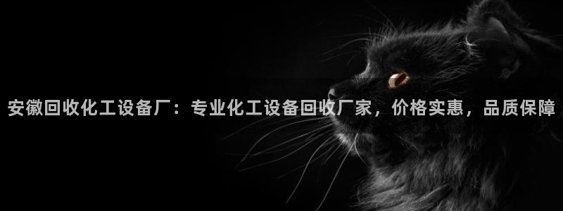 美狮贵宾会下载官方