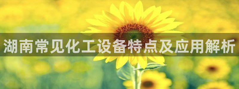 美狮荟积分规则