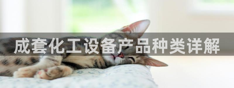 美狮国际控股集团