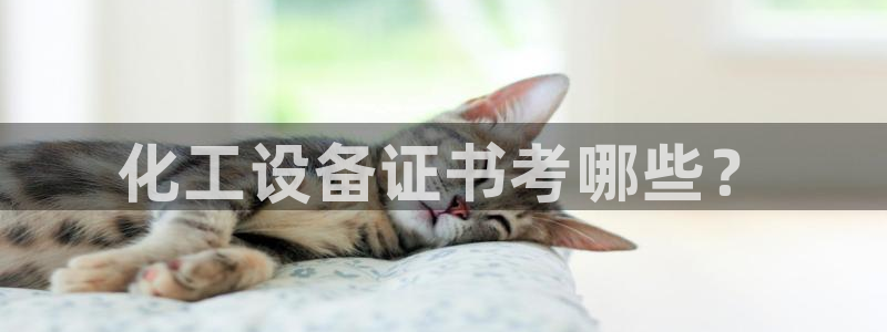 美狮会平台上的钱能取出来吗