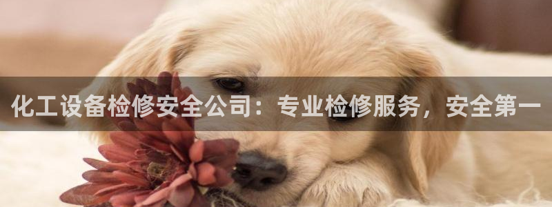 美狮贵宾会0923377