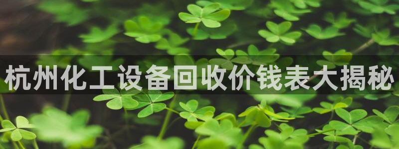 美狮国际控股集团