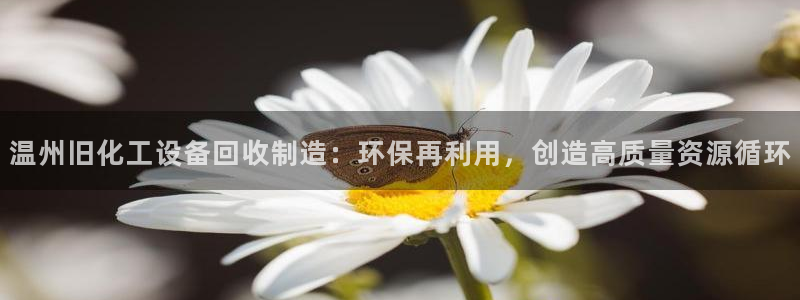 美狮官版2023最新版下载安装