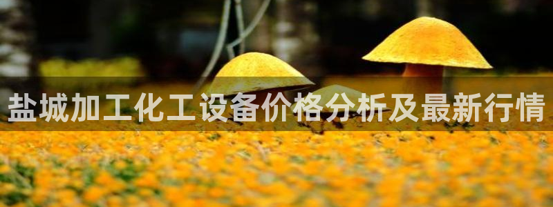 美狮贵宾会不给出款