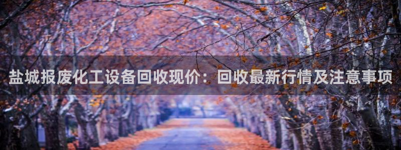 美狮实业有限公司