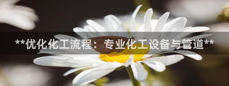 美狮会怎么样