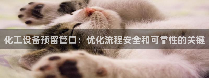 美狮贵宾会常见问题解答