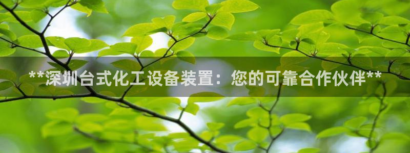 美狮贵宾会代理
