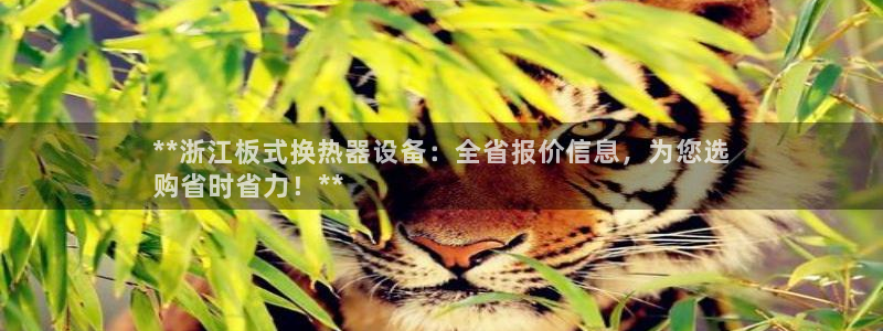 美狮贵宾会ms092021