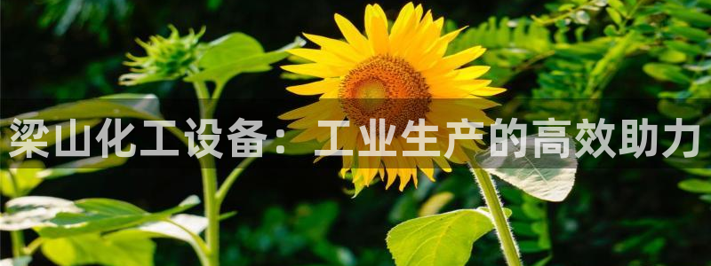 美狮科技