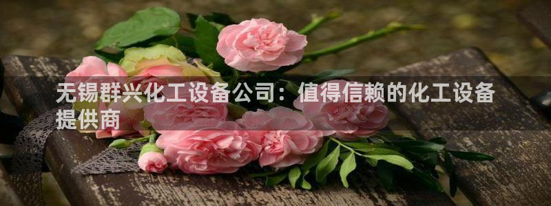 美狮服装