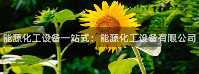 美狮会员充值中心
