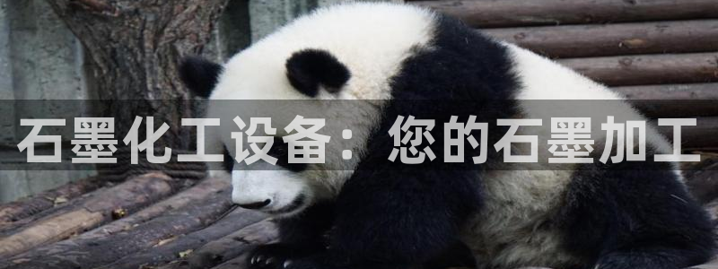美狮贵宾会网页登陆