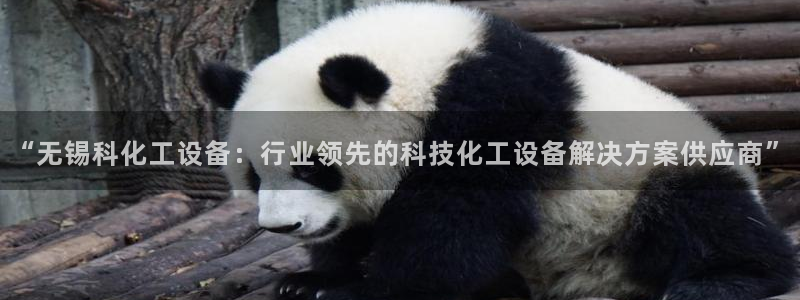美狮集团董事长兼总经理