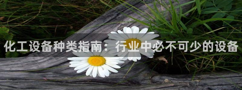 美狮贵宾有人赢过吗