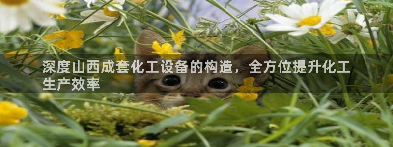 美狮贵宾会网址092app
