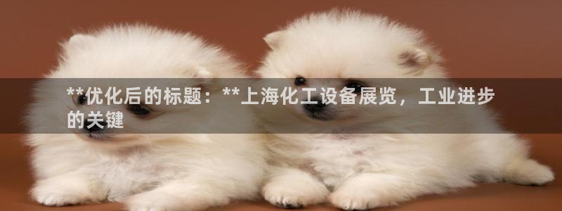 美狮贵宾会网址是什么