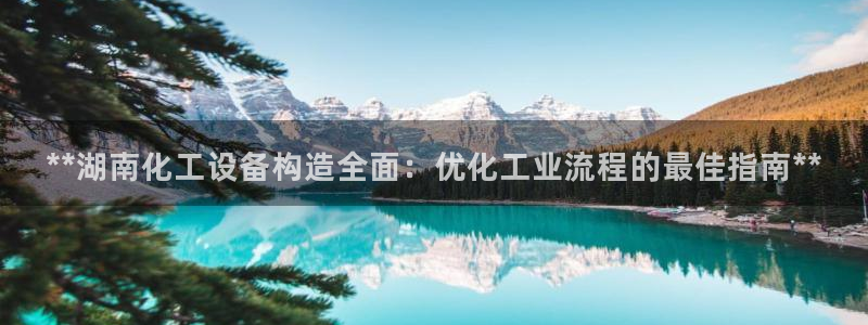 美狮贵宾会app