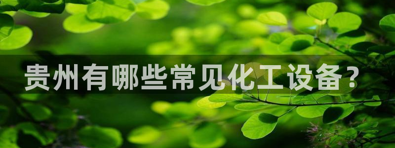 美狮贵宾会常见问题解答