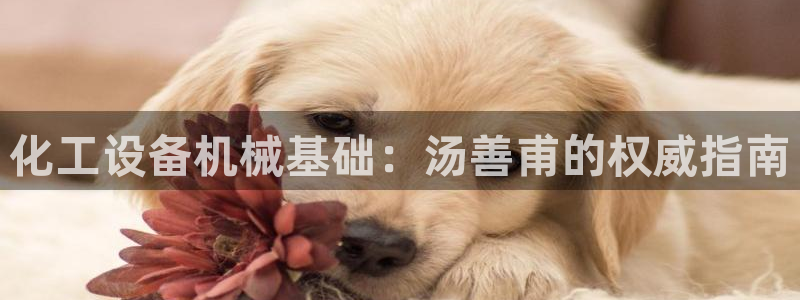 美狮会员卡等级怎么看的