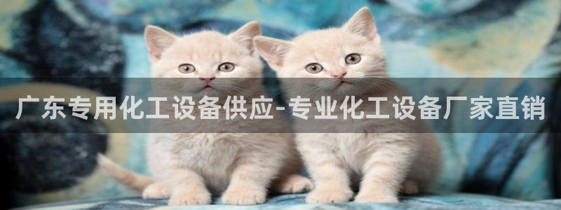 美狮贵宾会网页登陆