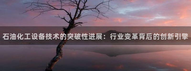 美国美狮集团