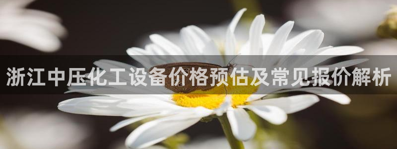 美狮国际控股集团